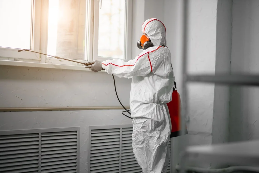 Professional mold remediation services in Slidell, LA